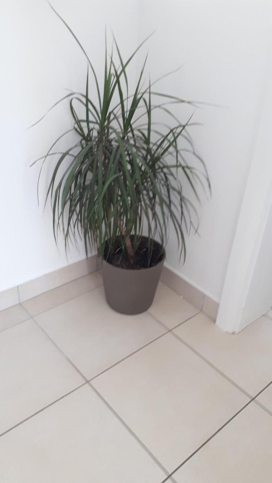 Apartmán Valerija Tribalj Pokoj fotografie